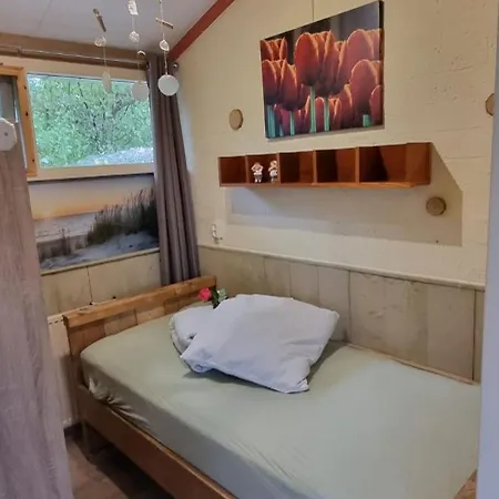 Zonnig Zuid * Dirkshorn