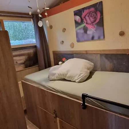 Zonnig Zuid Dirkshorn