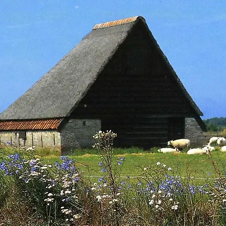Vakantiehuis Zonnig Zuid Dirkshorn