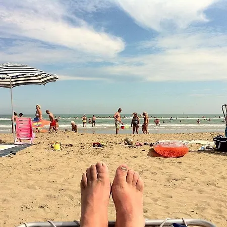 Zonnig Zuid