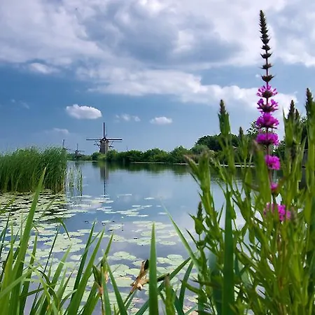 Vakantiehuis Zonnig Zuid *