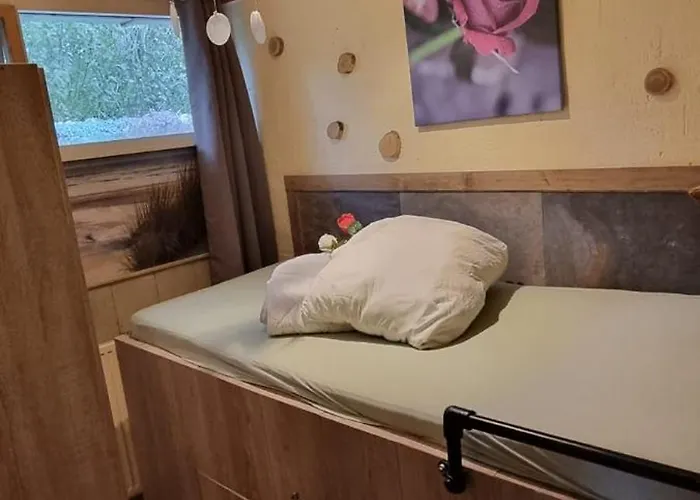 Zonnig Zuid Dirkshorn