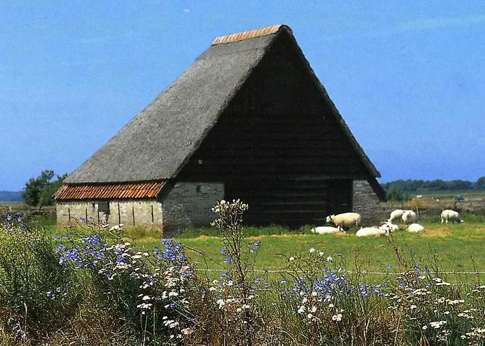 Hébergement de vacances Zonnig Zuid Dirkshorn