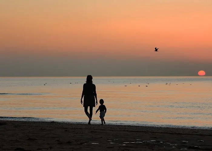 Hébergement de vacances Zonnig Zuid *