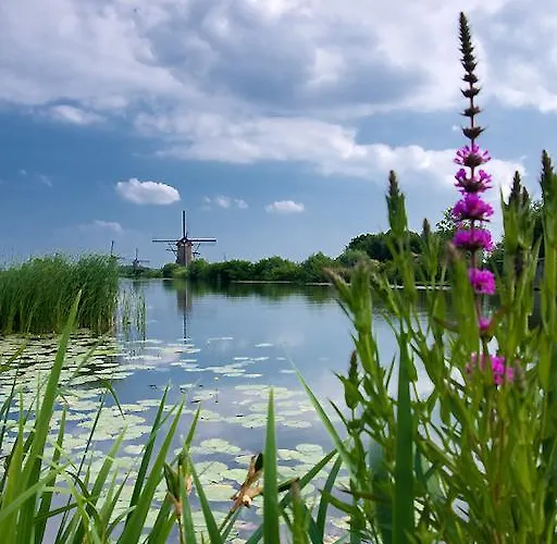 Hébergement de vacances Zonnig Zuid *