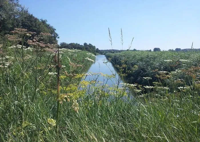 Hébergement de vacances Zonnig Zuid Dirkshorn